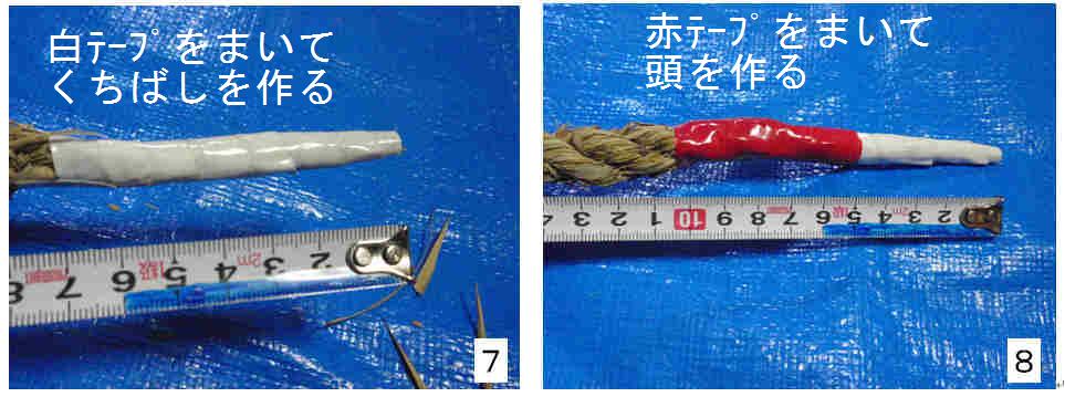 f:id:chuumeikun:20161221082110j:plain