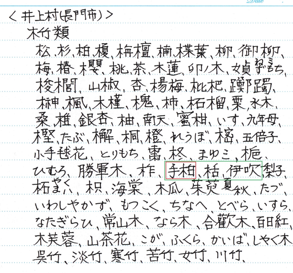 f:id:chuumeikun:20161224052457j:plain