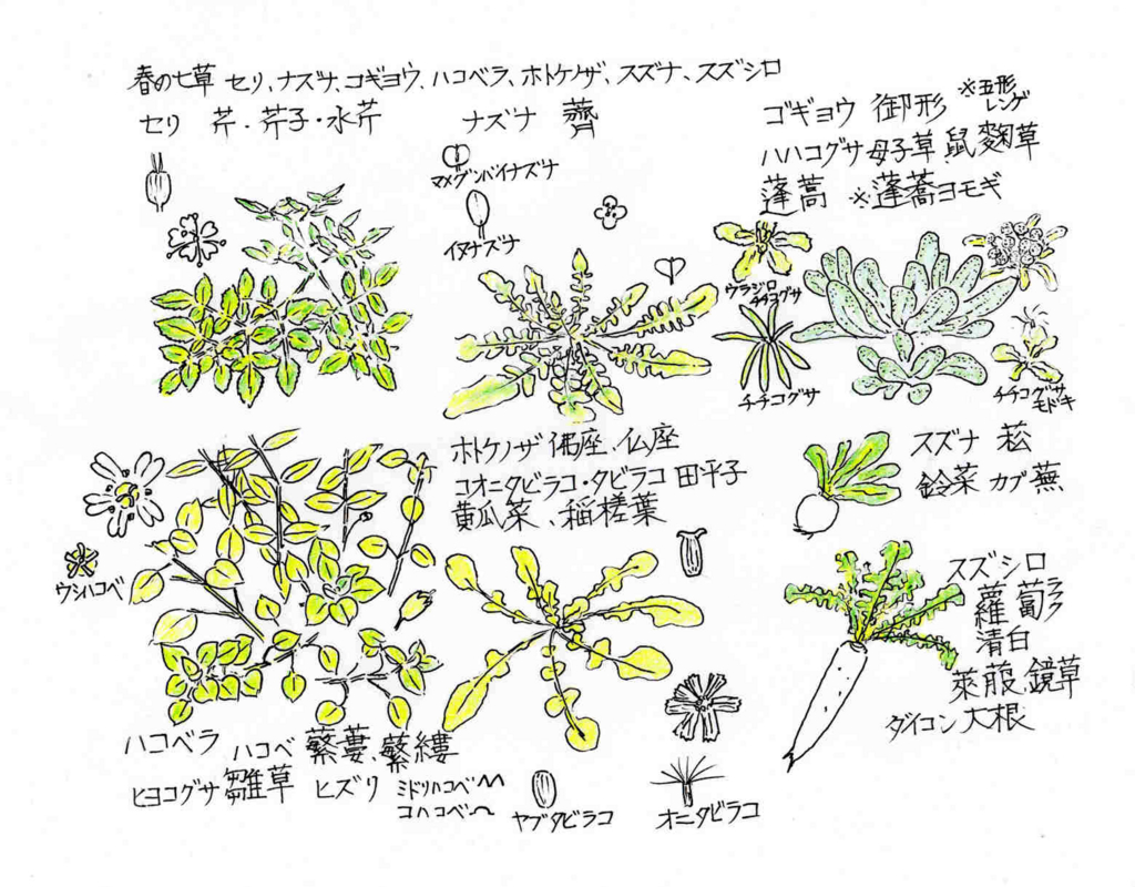 f:id:chuumeikun:20161227020220j:plain