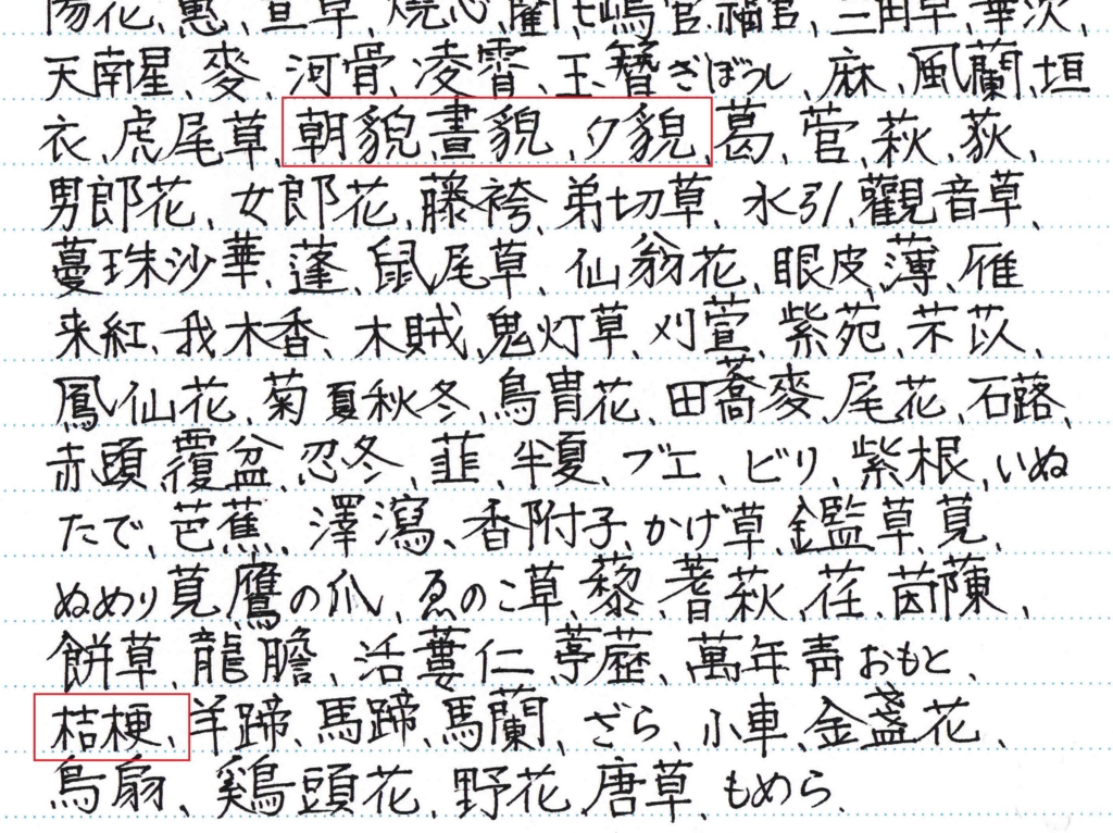 f:id:chuumeikun:20161229063625j:plain f:id:chuumeikun:20161229063625j:plain