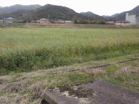 f:id:chuumeikun:20170113040042j:plain f:id:chuumeikun:20170113040042j:plain