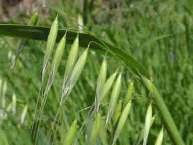 f:id:chuumeikun:20170113040217j:plain f:id:chuumeikun:20170113040217j:plain