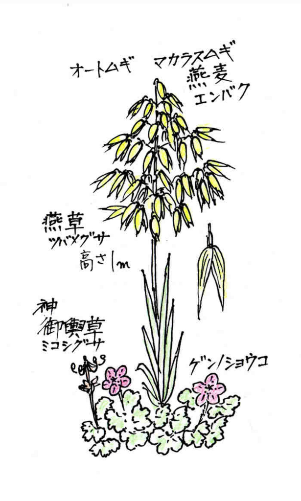 f:id:chuumeikun:20170113040907j:plain f:id:chuumeikun:20170113040907j:plain