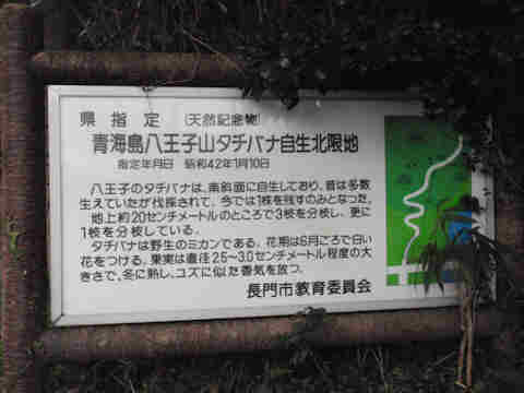 f:id:chuumeikun:20170127130621j:plain