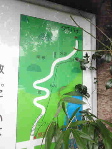 f:id:chuumeikun:20170127130715j:plain