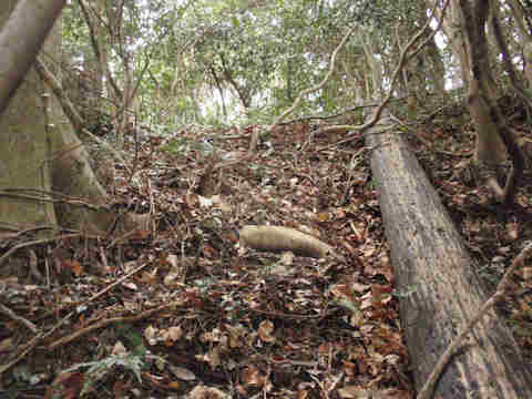 f:id:chuumeikun:20170127130934j:plain