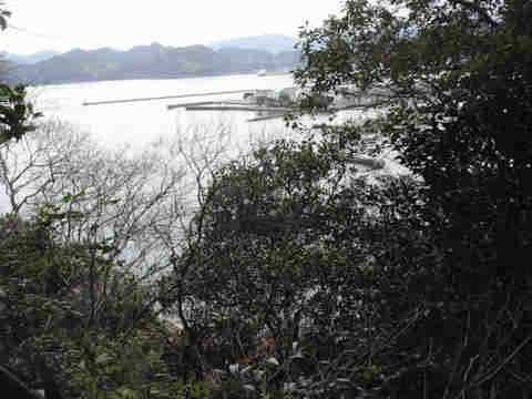 f:id:chuumeikun:20170127131123j:plain