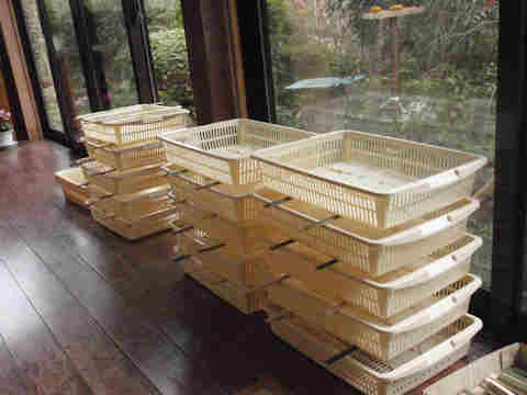 f:id:chuumeikun:20170204184700j:plain