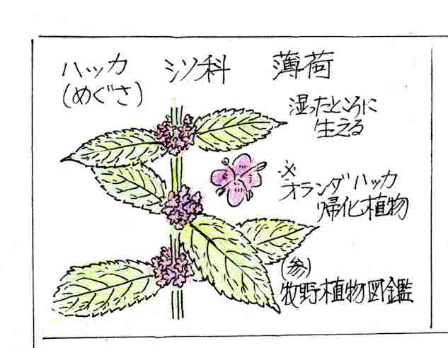 f:id:chuumeikun:20170220141119j:plain