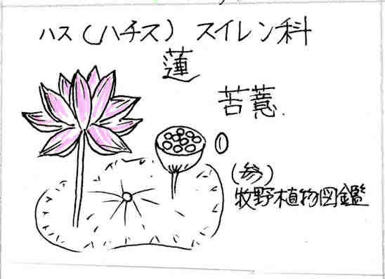 f:id:chuumeikun:20170220141737j:plain