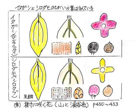 f:id:chuumeikun:20170313185934j:plain f:id:chuumeikun:20170313185934j:plain