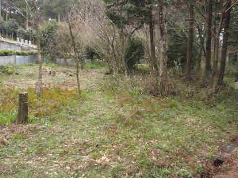 f:id:chuumeikun:20170317202820j:plain