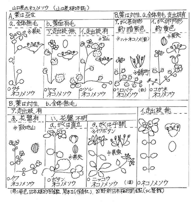 f:id:chuumeikun:20170322202251j:plain