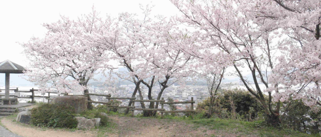 f:id:chuumeikun:20170410204054j:plain