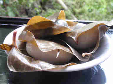 f:id:chuumeikun:20170412183200j:plain f:id:chuumeikun:20170412183200j:plain