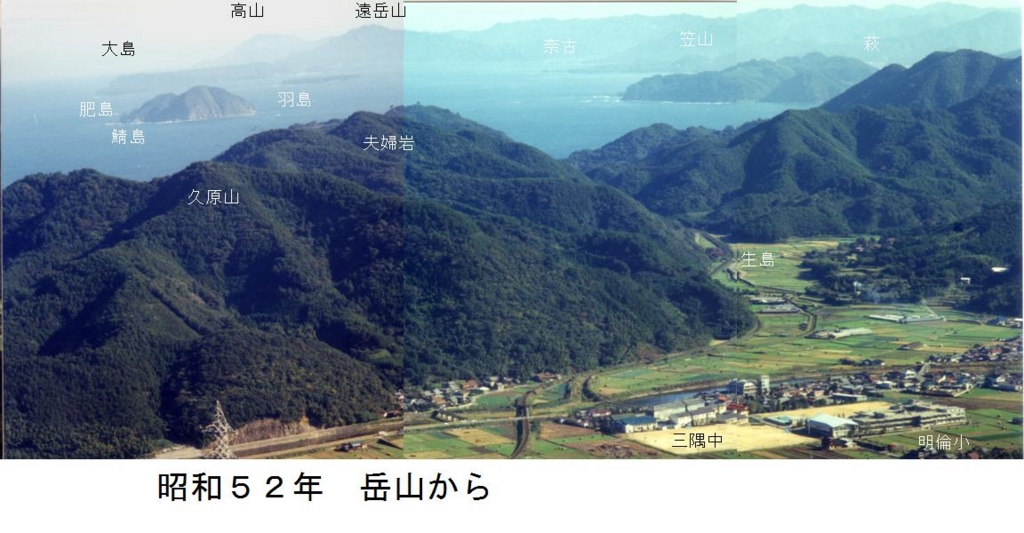 f:id:chuumeikun:20170416005217j:plain