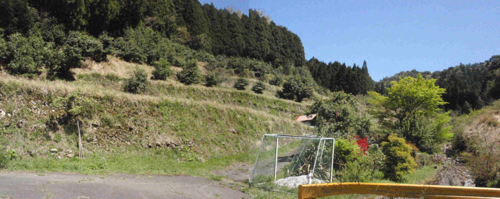 f:id:chuumeikun:20170425055101j:plain f:id:chuumeikun:20170425055101j:plain