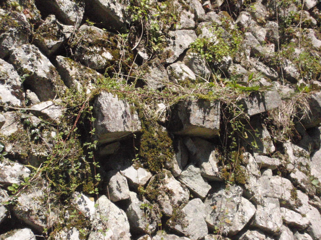 f:id:chuumeikun:20170425055137j:plain f:id:chuumeikun:20170425055137j:plain