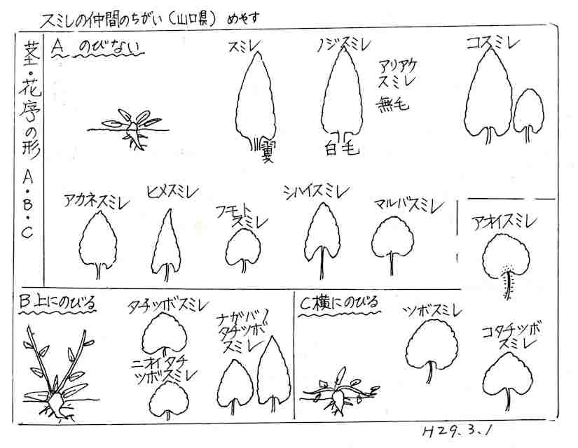 f:id:chuumeikun:20170426010940j:plain