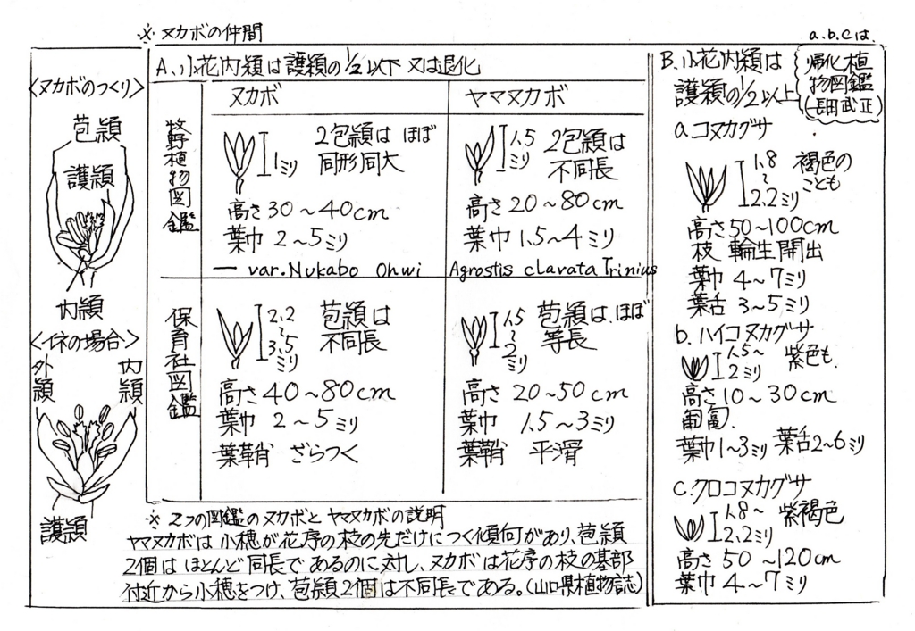 f:id:chuumeikun:20170504004133j:plain f:id:chuumeikun:20170504004133j:plain