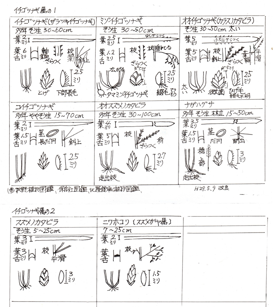 f:id:chuumeikun:20170510081438j:plain f:id:chuumeikun:20170510081438j:plain