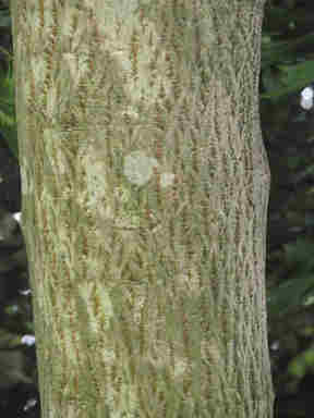 f:id:chuumeikun:20170525004947j:plain f:id:chuumeikun:20170525004947j:plain