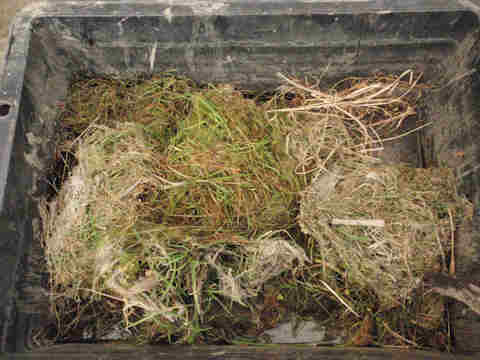 f:id:chuumeikun:20170527004601j:plain f:id:chuumeikun:20170527004601j:plain