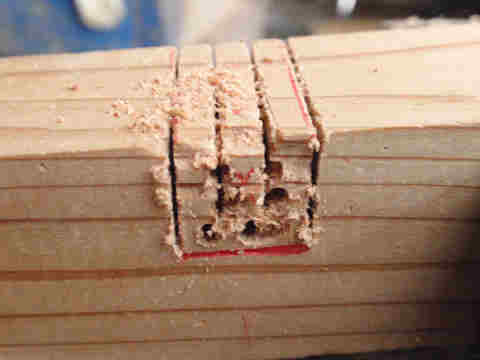 f:id:chuumeikun:20170530064505j:plain f:id:chuumeikun:20170530064505j:plain