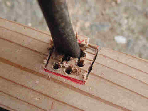 f:id:chuumeikun:20170530064523j:plain f:id:chuumeikun:20170530064523j:plain