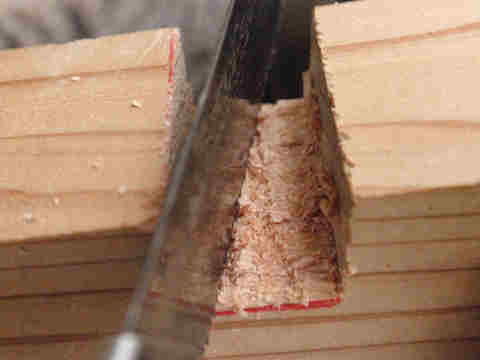 f:id:chuumeikun:20170530064605j:plain f:id:chuumeikun:20170530064605j:plain