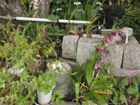 f:id:chuumeikun:20170610053223j:plain f:id:chuumeikun:20170610053223j:plain