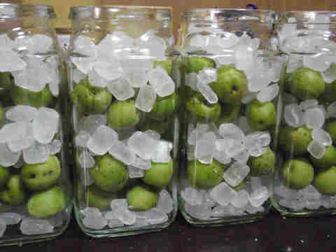 f:id:chuumeikun:20170610053619j:plain f:id:chuumeikun:20170610053619j:plain