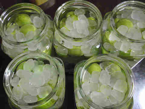 f:id:chuumeikun:20170610053715j:plain f:id:chuumeikun:20170610053715j:plain