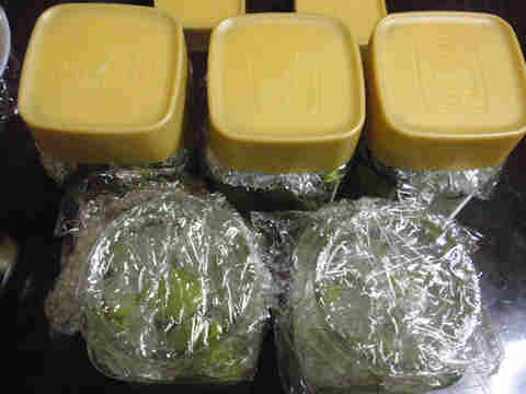 f:id:chuumeikun:20170610053731j:plain f:id:chuumeikun:20170610053731j:plain