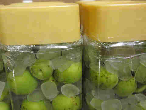 f:id:chuumeikun:20170610053749j:plain f:id:chuumeikun:20170610053749j:plain