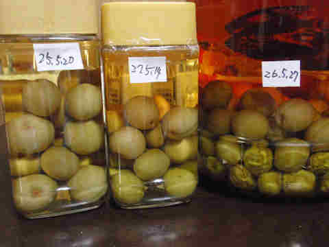 f:id:chuumeikun:20170610053830j:plain f:id:chuumeikun:20170610053830j:plain