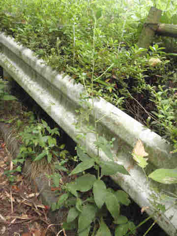 f:id:chuumeikun:20170728200433j:plain f:id:chuumeikun:20170728200433j:plain