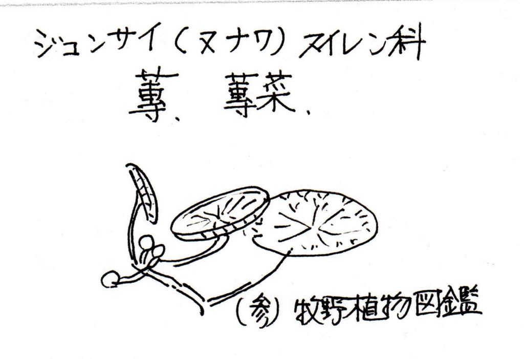 f:id:chuumeikun:20170807205913j:plain