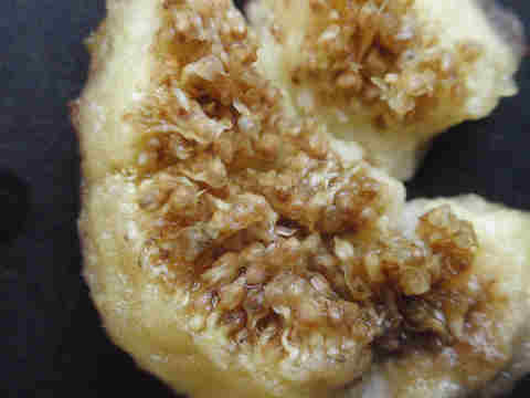 f:id:chuumeikun:20170818014311j:plain f:id:chuumeikun:20170818014311j:plain