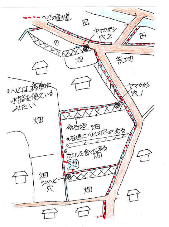 f:id:chuumeikun:20170824194153j:plain f:id:chuumeikun:20170824194153j:plain