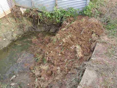 f:id:chuumeikun:20170824194305j:plain f:id:chuumeikun:20170824194305j:plain