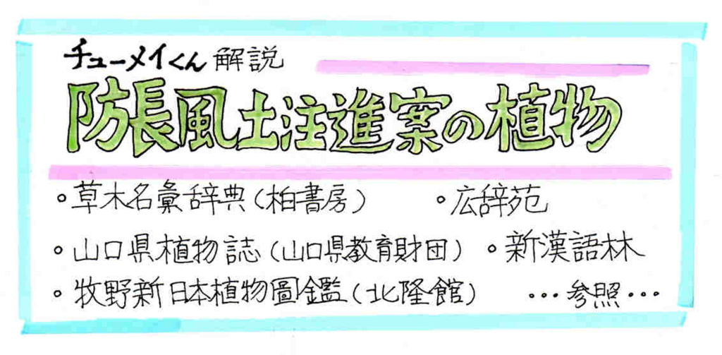 f:id:chuumeikun:20170829181859j:plain f:id:chuumeikun:20170829181859j:plain