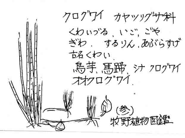 f:id:chuumeikun:20170829182008j:plain f:id:chuumeikun:20170829182008j:plain