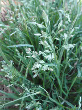 f:id:chuumeikun:20170829182138j:plain f:id:chuumeikun:20170829182138j:plain