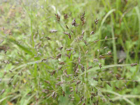 f:id:chuumeikun:20171015185324j:plain f:id:chuumeikun:20171015185324j:plain