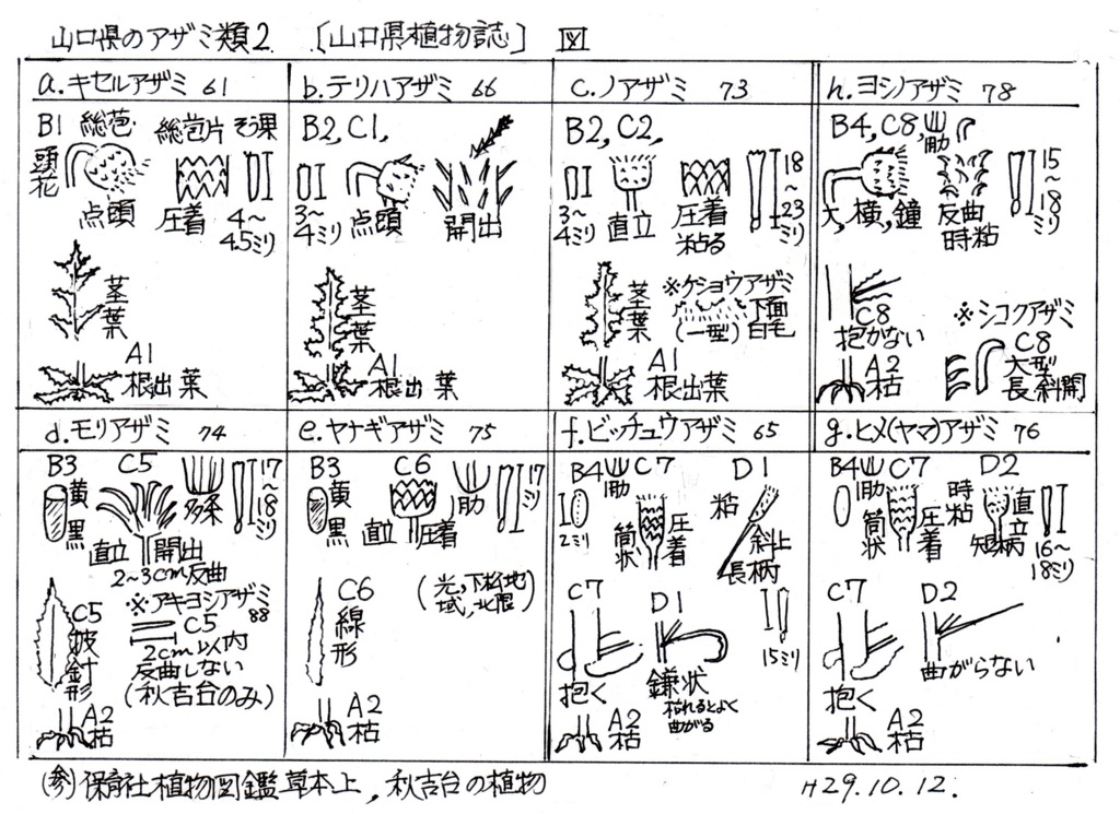 f:id:chuumeikun:20171015185640j:plain f:id:chuumeikun:20171015185640j:plain