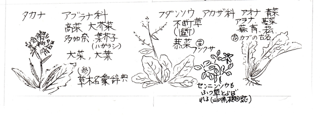 f:id:chuumeikun:20171120001919j:plain f:id:chuumeikun:20171120001919j:plain