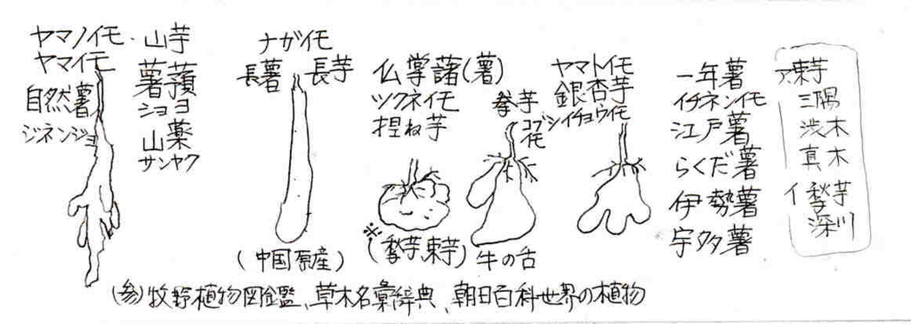 f:id:chuumeikun:20171120002156j:plain f:id:chuumeikun:20171120002156j:plain