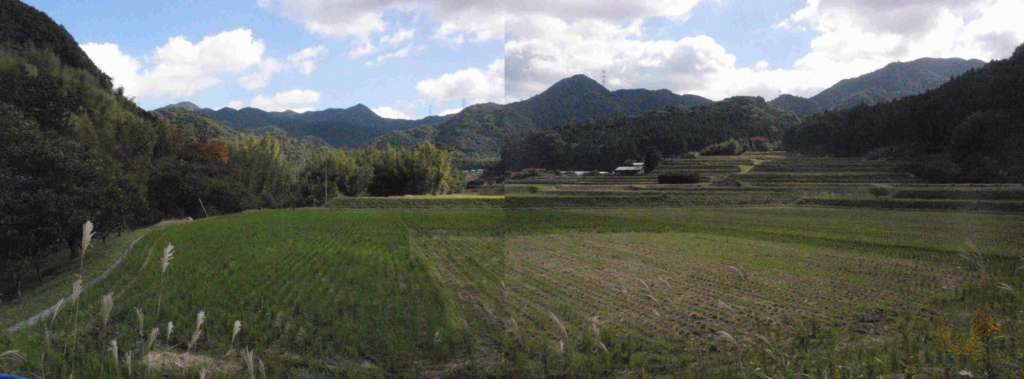 f:id:chuumeikun:20171203004540j:plain