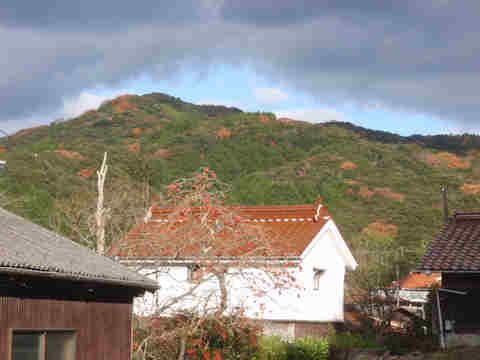 f:id:chuumeikun:20171204001434j:plain f:id:chuumeikun:20171204001434j:plain